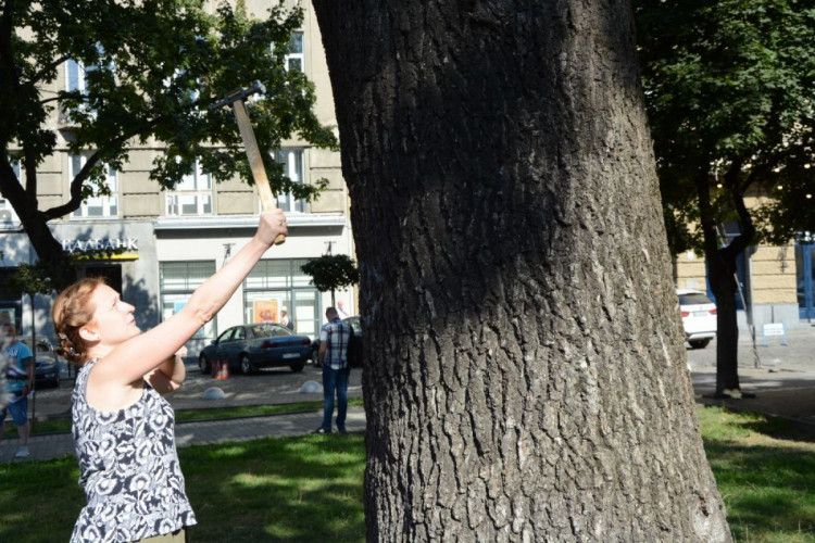 Олександра Сладкова чіпує дерево у Львові.