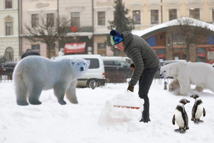Андрій Садовий відкидає сніг 