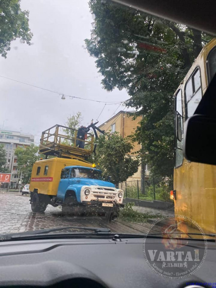 У Львові буревій повалив 27 дерев