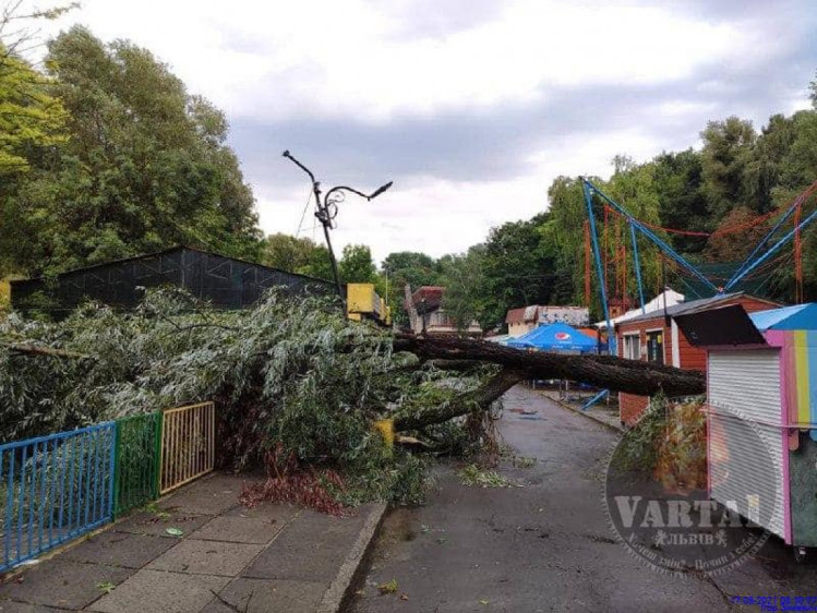 У Парку культури два дерева впали на атракціони