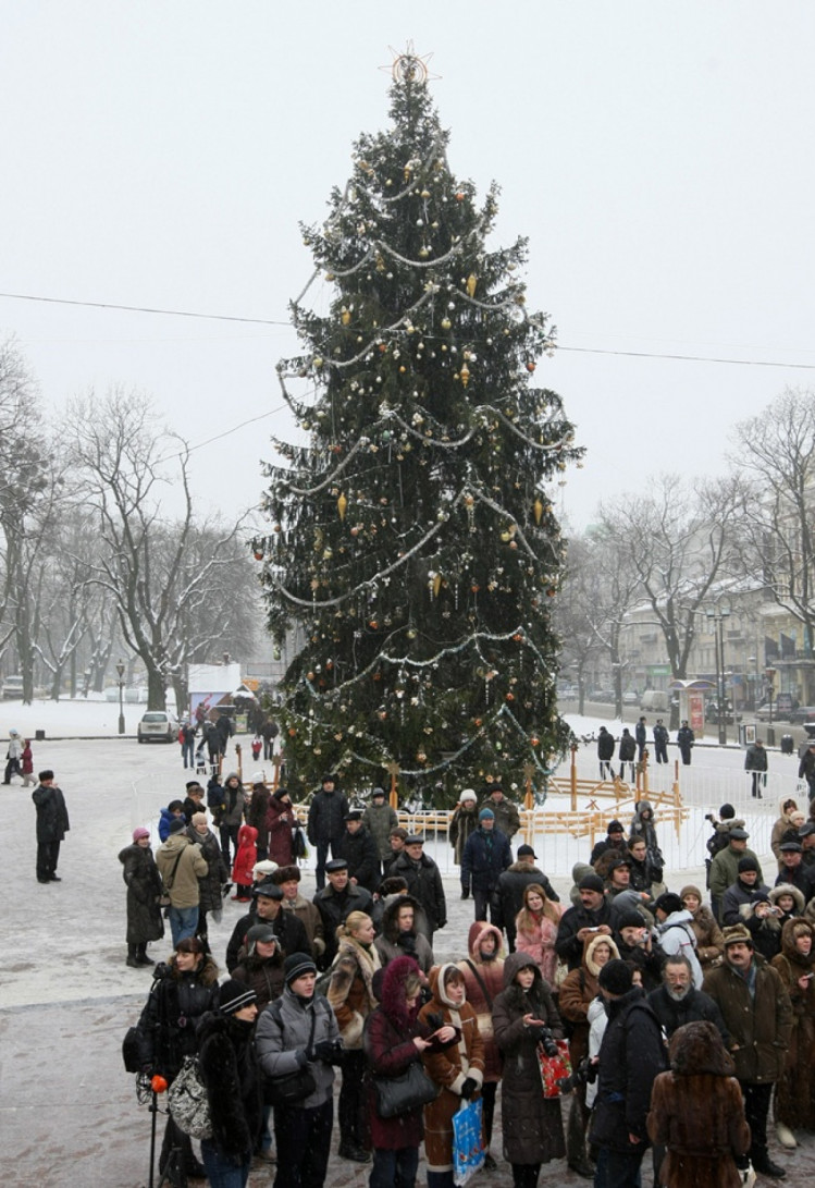 Львівські ялинки 