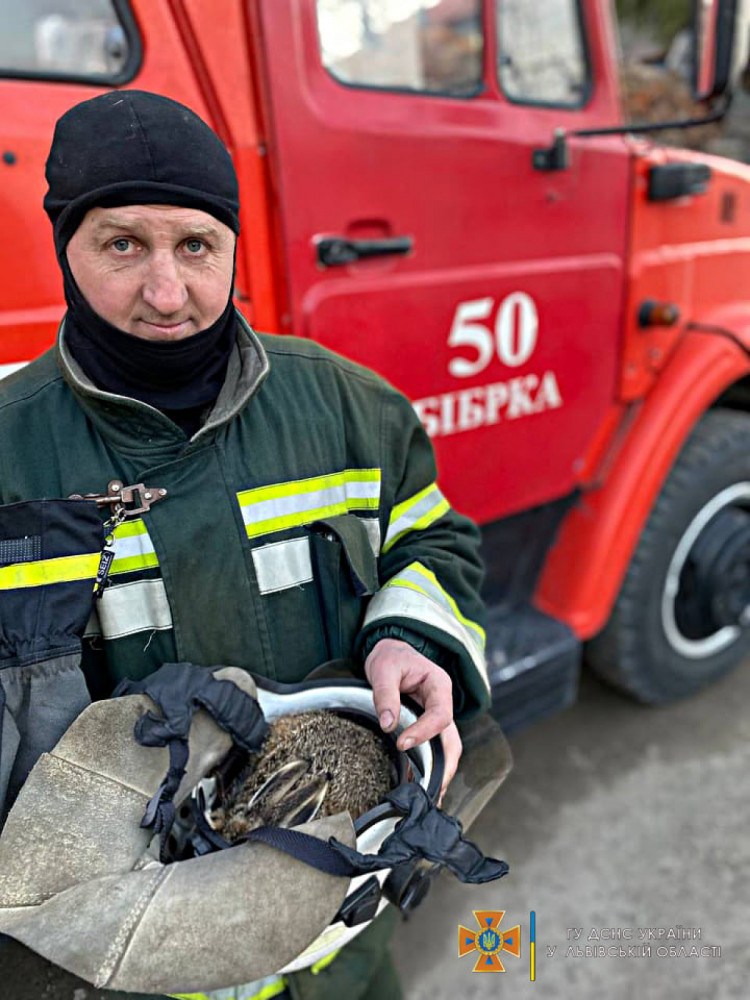 Львівські рятувальники врятували зайченя